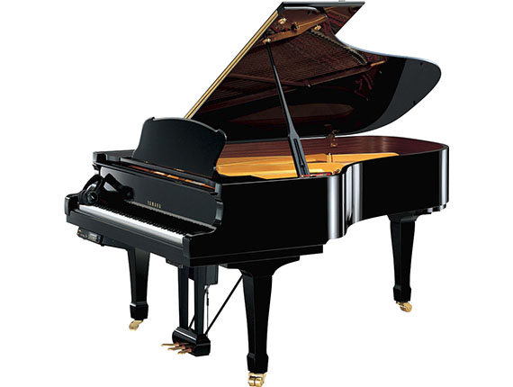 Yamaha DS6E3PRO PE